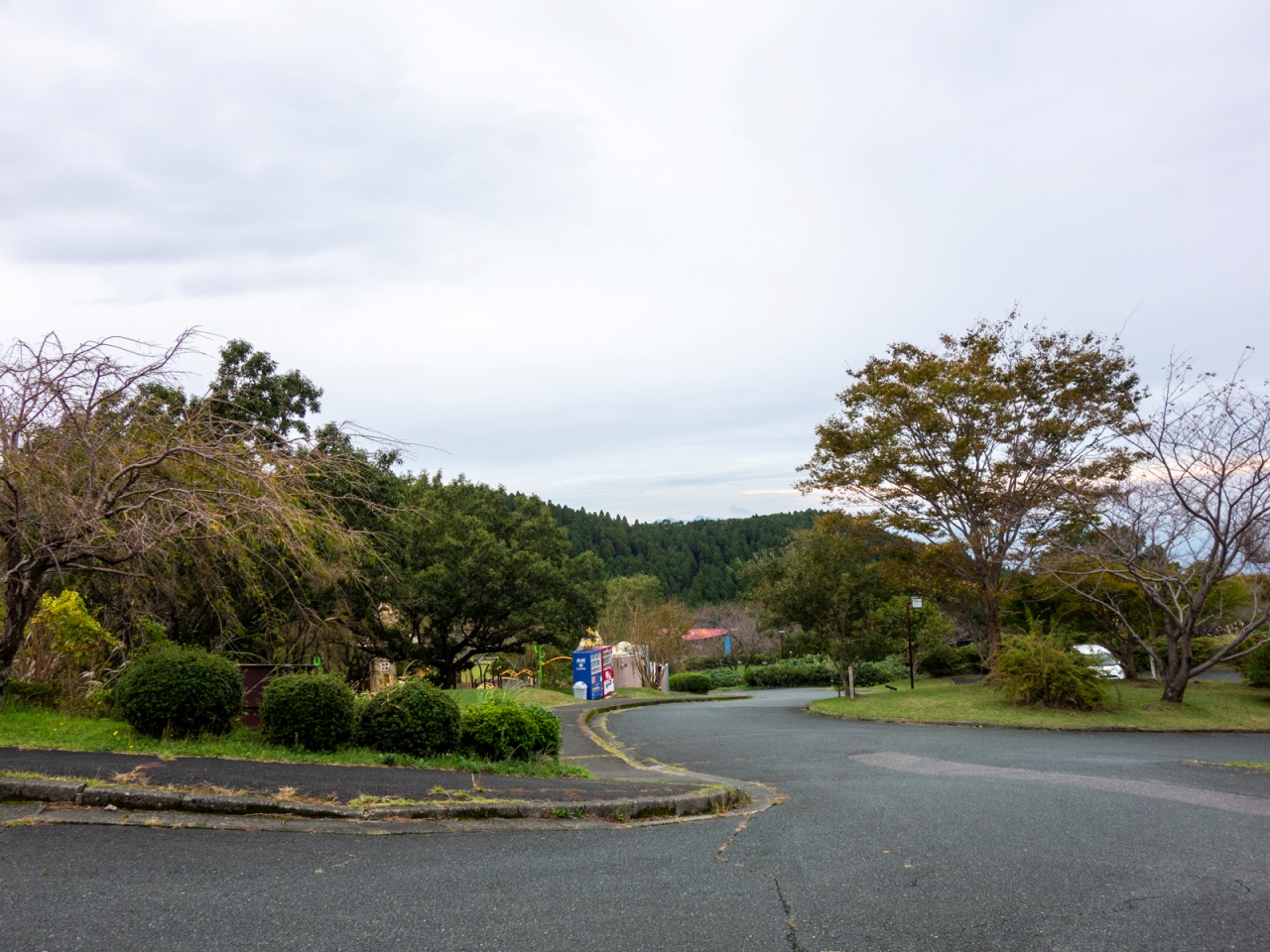 四季の里旭志の園内の風景